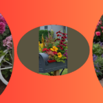Blooming Beauties: 15 Mailbox Flower Bed Ideas to Brighten Your Day