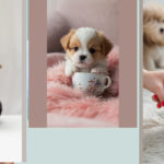 Pint-Sized Wonders: 15 Teacup Puppies to Melt Your Heart!