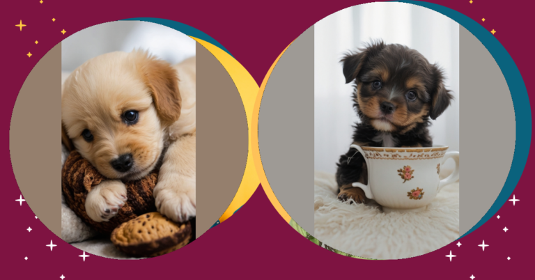 The Magic of Teacup Puppies: Your Ultimate Cuteness Guide
