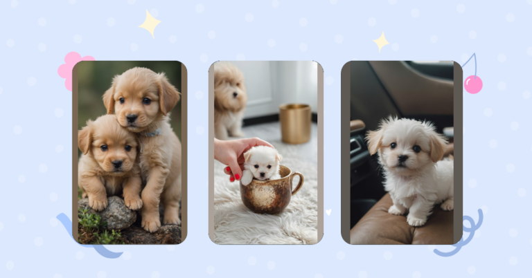 Cuteness Overload: Meet Your Teacup Puppy Soulmate