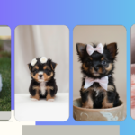 Cute Teacup Puppies: Your Daily Dose of Adorable Fluffiness