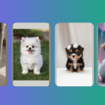 Adorable Teacup Puppies: Finding Your Furry Best Friend in a ‘Tea-ful’ Cup!