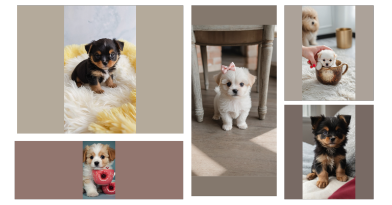 Adorable Teacup Puppies: The Perfect Addition to Your Family!