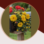 Modern Magic: Elevate Your Mailbox with 15 Contemporary Planters Ideas