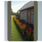 Creating a Lush Oasis: 15 Fence Line Landscaping Ideas for Your Backyard