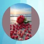 Blooming Beauties: 15 Peony Wallpaper Ideas for Your Device