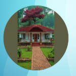 Innovative Rural House Designs That Redefine Countryside Living