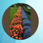 Front Yard Fabulous: 15 Fence Line Landscaping Ideas for Eye-Catching Curb Appeal