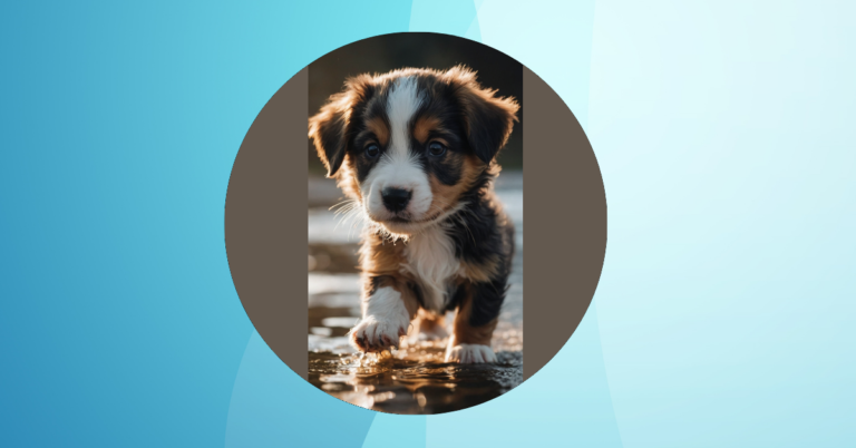 A Paw-some Parade of 15 Cute Puppies for Your Daily Dose of Cuteness