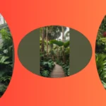 Party in the Jungle: 15 Fun and Festive Garden Ideas