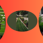 Privacy Paradise: Transform Your Backyard with 15 Fence Line Landscaping Ideas