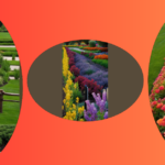 Puppy Paradise: 15 Dog-Friendly Fence Line Landscaping Ideas for Your Modern Home