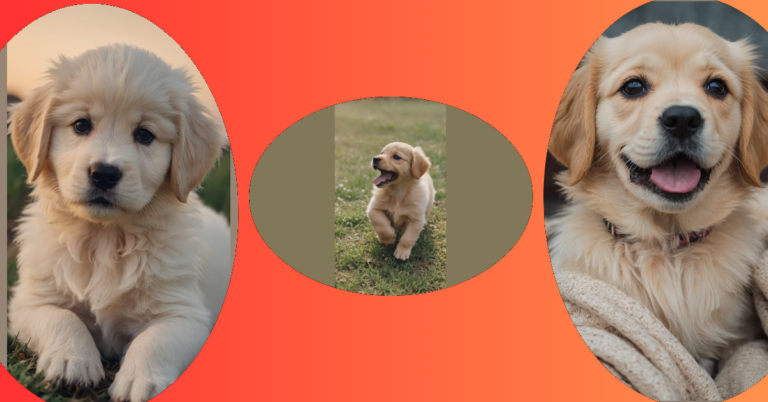 Pawsitively Adorable: 15 Cute Puppy Ideas to Brighten Your Day