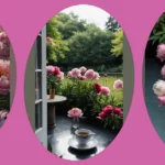 Blooming Beauty: 15 Stunning Peony Wallpaper Ideas for Your Devices