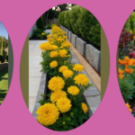 Elevate Your Front Yard with These 15 Stunning Fence Line Landscaping Ideas