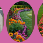 Sunny Days Ahead: Transform Your Fence Line with 15 Full Sun Landscaping Ideas