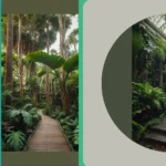 Unleash Your Creative Side: 15 Inspiring Jungle Garden Ideas for Small Spaces