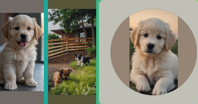 A Fluffy Parade: 15 Adorable Puppy Picture Ideas to Melt Your Heart