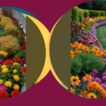 Create the Ultimate Outdoor Haven with These 15 Beautiful Green Fence Line Landscaping Ideas