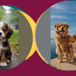 Pawfectly Adorable: 15 Cute Puppy Ideas to Melt Your Heart