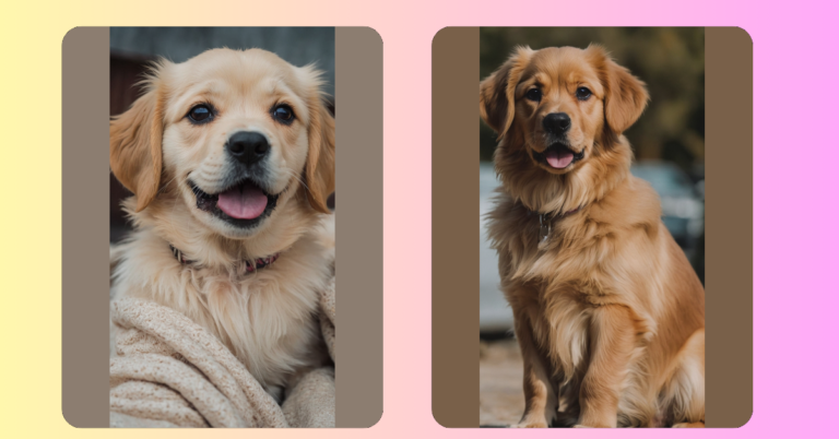 Adorable Puppy Overload: 15 Cutest Puppies Ideas to Melt Your Heart!