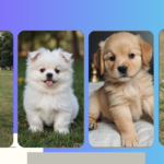 Adorable Puppymania: 15 Super Cute Puppies that Will Melt Your Heart