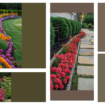 Blooming Boundaries: 15 Fence Line Landscaping Ideas for Your Backyard Oasis