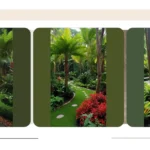 Unleash Your Wild Side: 15 Jungle Garden Ideas for Small Spaces in Tropical Sarasota