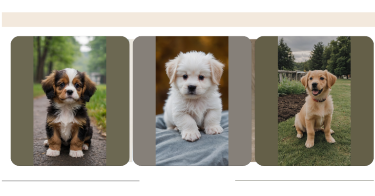 Puppy Love Galore: 15 Cute Ideas to Fill Your Heart with Joy