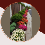 Sunny Delights: 15 Full Sun Fence Line Landscaping Ideas for a Brighter Backyard