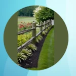 15 Creative Fence Line Landscaping Ideas to Transform Your Outdoor Space