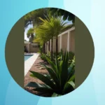 Sunshine State Splendor: 15 Florida Landscaping Ideas for Every Zone