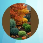 Transform Your Garden This Fall with These 15 Fall Garden Ideas