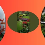 Tropical Paradise: 15 Landscape Ideas for Australian Gardens