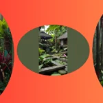 Transform Your Outdoor Space with These 15 Bali Garden Design Ideas