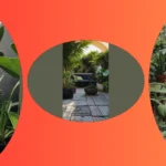 Jungle Vibes: 15 Aesthetic House Plants for Indoor Decor Inspiration