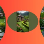 Dive into Paradise: 15 Exotic Tropical Backyard Landscaping Ideas