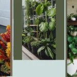 Plant Parenting 101: 15 Best House Plants for Indoor Decor Enthusiasts