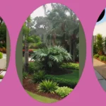 Vibrant Florida Landscaping: 15 Ideas to Transform Your Space