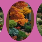 Fall Foliage Fiesta: 15 Autumn Garden Ideas for a Bountiful Harvest
