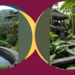 Paradise Found: 15 Bali Garden Ideas for Your Backyard Oasis