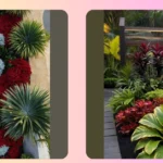 Tropical Garden Paradise: 15 Aussie-Inspired Landscaping Ideas