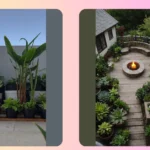 Fresh Frontiers: 15 House Plants to Elevate Your Front Door Decor