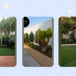 Sun-Kissed Paradise: 15 Florida Landscaping Ideas for Your Backyard Oasis