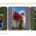 Tropical Oasis: 15 Landscaping Ideas for Small Spaces