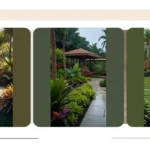Unleash Your Creativity: 15 Tropical Backyard Landscaping Ideas