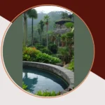 Transform Your Backyard Oasis: 15 Bali Garden Ideas Inspiration