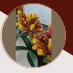 Spruce Up Your Space: 15 House Plants Display Ideas to Brighten Every Corner