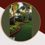 Incredible Florida Landscaping: 15 Ideas to Transform Your Outdoor Spaces