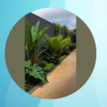 From Drab to Fab: 15 Tropical Landscaping Ideas to Revamp Your Home